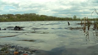 Curlyleaf Pondweed Treatment Begins in Plymouth’s Bass Lake [upl. by Niroc]