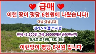 급매 경사도완전 굿 물있고 전기있고 도로있고 계획관리지역준보전산지 이런임야가 평당6천원 빠른매매예상누구도상상못한 금액 [upl. by Nairbo126]