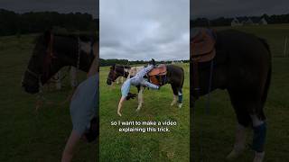 The mane situation✨horse equestrian trickriding stuntrider lesson fypシ゚ subscribe viralshort [upl. by Yliab]