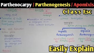 Parthenocarpy  Apomixis  Parthenogenesis  Seed Dormancy  Class 12 Biology [upl. by Thamos]