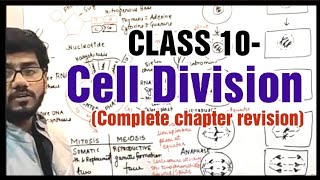 Cell Division  Revision In Short Important for exams  ICSE  BiologyCLASS10  pbclasses [upl. by Conrade]