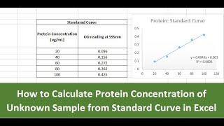 How to calculate Protein Concentration of Unknown Sample from standard curve in excel [upl. by Latsyc]