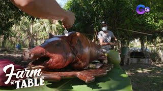 Farm To Table How to cook Crispy Native Pork Lechon [upl. by Mccarty684]