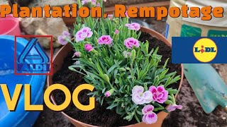 VLOG 🛍️Je suis passée chez LIDL et ALDI 🌺 Plantations et Rempotages Je Bouge Toutes Mes Plantes 🪴 [upl. by Rooke]