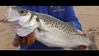 PESCA SURFCASTING LA BAILA CEBOS PLOMOS APAREJOS GAMETAS [upl. by Onailime330]