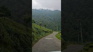 Mesmerizing Darjeeling 😍🥰en route to rock garden Darjeeling shorts [upl. by Prosperus]