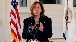 Harris speaks on Trumps former chief of staff saying he overheard him talk about Hitlers generals [upl. by Fifine645]