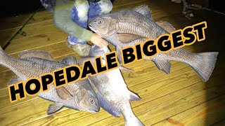 Hopedale Louisiana Bank fishing bank fishing adventure big fish black drums louisiana [upl. by Burris325]