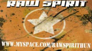 Raw Spirit  Big in Japan  Alphaville rockmetal cover [upl. by Zennas]