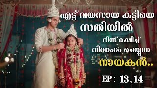 Barrister babu  Episode 1314  Malayalam Explanation [upl. by Ennaer534]