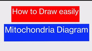 How to draw the diagram of mitochondriaeasy Steps by step for beginners [upl. by Reace]