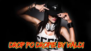 🎵🎵 DROP PO DROPIE by Valdi 🎵🎵 [upl. by Ahsimak]