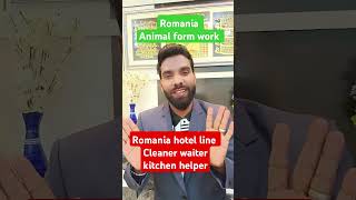 Romania work permit visa animal form work and hotel line job waiter cleaner kitchen helper [upl. by Goebel686]