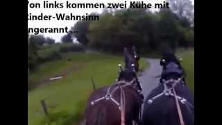 2 Shires vor der Kutsche gehen durch  bolting Clydesdales [upl. by Trotter735]