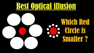 Best Optical illusion  Ebbinghaus illusion Explained  Titchener Circles illusion [upl. by Neelrad428]