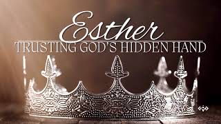 Esther 6  Honored by The King [upl. by Eedeed]