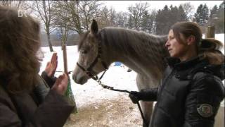 Tierkommunikation mit Tierkommunikatorin Dr Sabrina Hinneberg  wwwrederaumcom [upl. by Enirod]