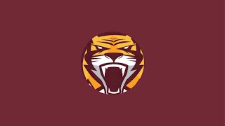 Stewartville Tigers vs Lake City Tigers  Section 1AAA Football MN [upl. by Omoj]