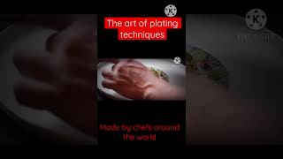 Fine dining food plating techniques foodplates foodpaltingtechniues [upl. by Seleta]