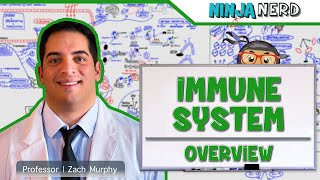 Immunology  Immune System Overview [upl. by Petr57]