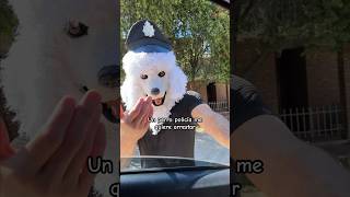 Un PERRO policía me quiere arrestar perro viral [upl. by Jessalyn]