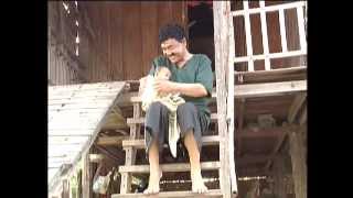 Khmer Comedy ឣាជ័យមេគ្រត  A Chey Mi Krot [upl. by Patricio]