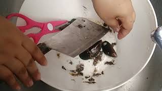 Paano linisin ang Tahong  How to clean mussels Pinay in Thailand [upl. by Weissman]