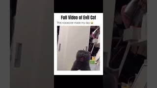 Full Video of EvilCat 😈🐈‍⬛️ [upl. by Levenson]