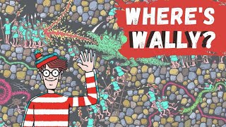 Wheres Wally  Waldo challenge Family fun game FIND WALLY IN TIME 4 [upl. by Yak]