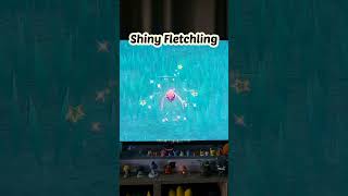 Shiny Fletchling pokemonviolet pokemon switchgames fletchling [upl. by Nolat498]