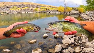 LARGEMOUTH  SMALLMOUTH BASS CATCH amp COOK TASTE TEST [upl. by Iden458]