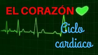 EL CORAZÓN Ciclo cardiaco [upl. by Baum]