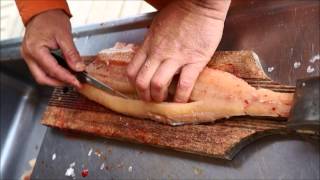 How to fillet a Northern Pike  KaBeeLo Tutorial [upl. by Solracnauj]