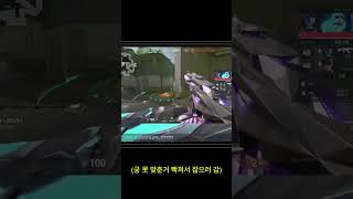 시크릿랩 의자 사고 발로란트 첫판인데 shorts 보관용 [upl. by Hege939]