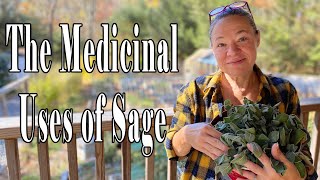 The Medicinal Uses of Sage [upl. by Assenej]