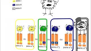 SVT  Relations entre allèles [upl. by Vinnie]