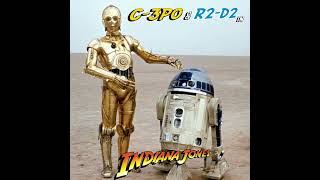 C3PO amp R2D2 in Indiana Jones indianajones starwars c3po r2d2 raidersofthelostark easteregg [upl. by Leksehc]