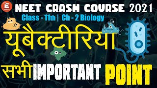 Biological Classification  Detailed account of Eubacteria in Hindi I NEET Biology I EkEdu [upl. by Illyes]