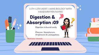 Pt9 Digestion in buccal cavity Pharynx  Nasopharynx Oropharynx Laryngopharynx digestion 12th [upl. by Letney]