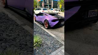 1 of 1 light Purple Lamborghini Técnica [upl. by Helbonnah165]