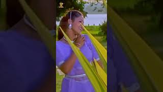 Premante Nedu Thelisinadi Short Video Song  Preyasi Raave  Srikanth Raasi  shorts tyshorts [upl. by Anikes67]