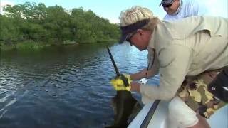 Sawfish Fishing and Snook in Florida Everglades National Park [upl. by Salim]