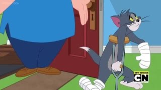 The Tom and Jerry Show S2E3C Smitten with the Kitten [upl. by Carrelli]