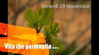 Venerdì 29 Novembre  Vita che germoglia … [upl. by Abdel371]