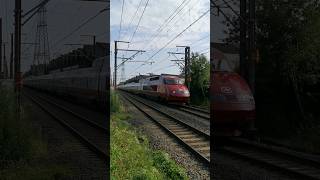 Red Eurostar TGVs pass Buizingen 🇧🇪 020924 [upl. by Jorge]