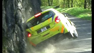 rallye des bauges 2023 crash limites show [upl. by Nywnorb537]