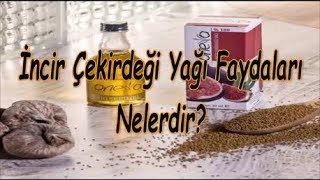 İncir Çekirdeği Yağı Faydaları Nelerdir [upl. by Yelkcub]