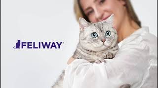 Feliway Optimum  Live para veterinários  Abril 2024 [upl. by Enilegna]