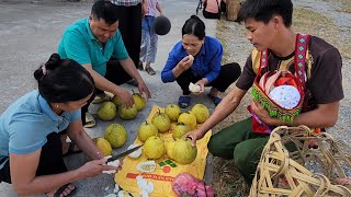 Harvest grapefruit garden to sell at market to save money to buy nutritious milk for baby girl [upl. by Nitnerb]