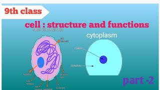 cell  structure and functions Nucleus cytoplasmBiology [upl. by Carmelina564]